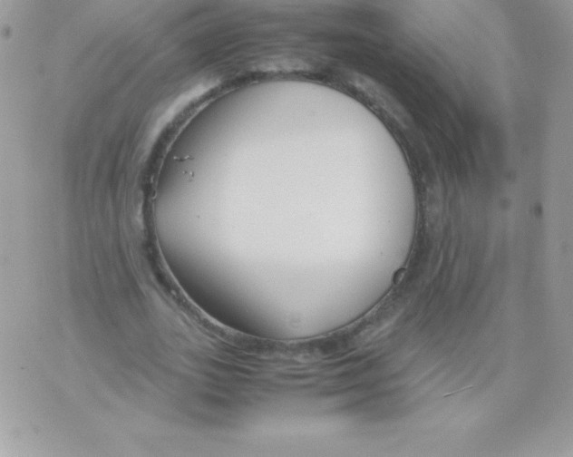 X0000070830727200607142340