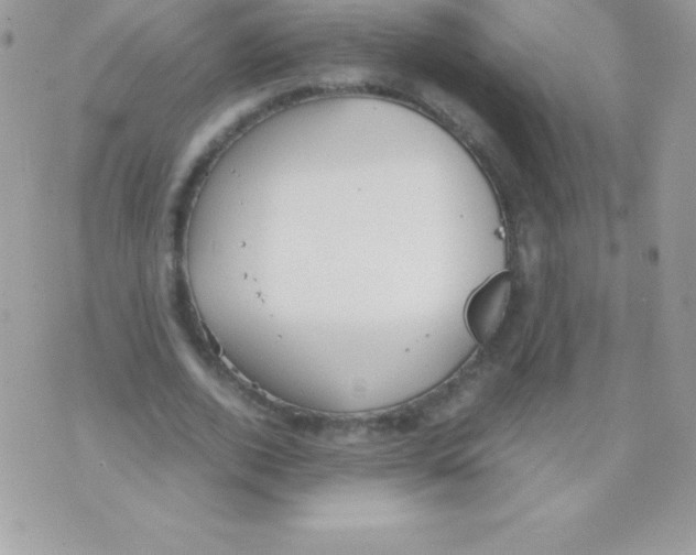 X0000070830728200607142340