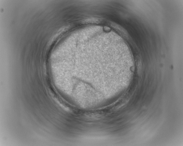 X0000070830729200607142340