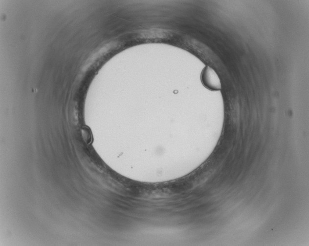 X0000070830731200607142340