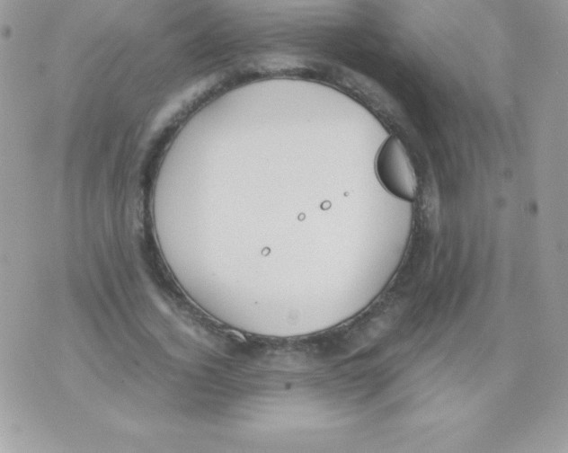 X0000070830732200607142340