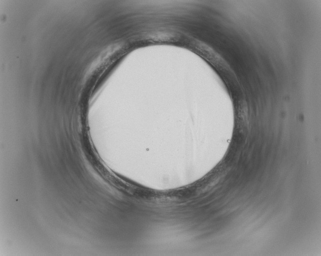 X0000070830734200607142340