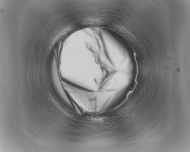 X0000070830735200607142340