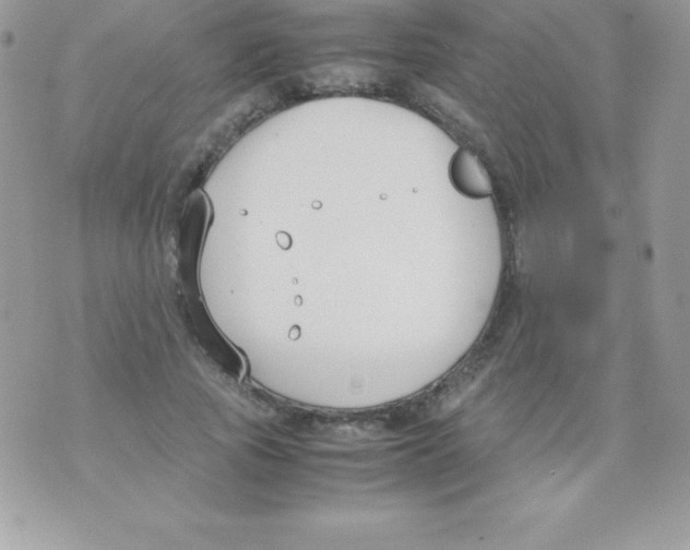 X0000070830737200607142340