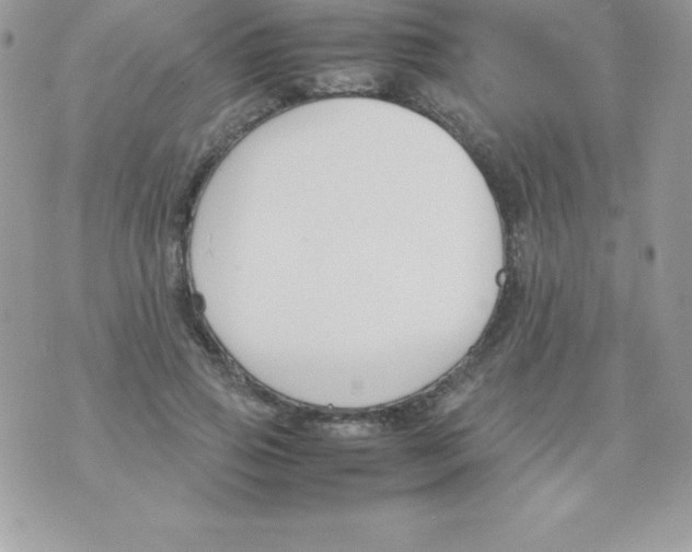 X0000070830741200607142340