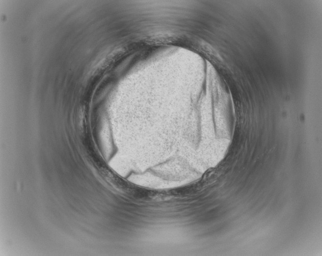 X0000070830742200607142340