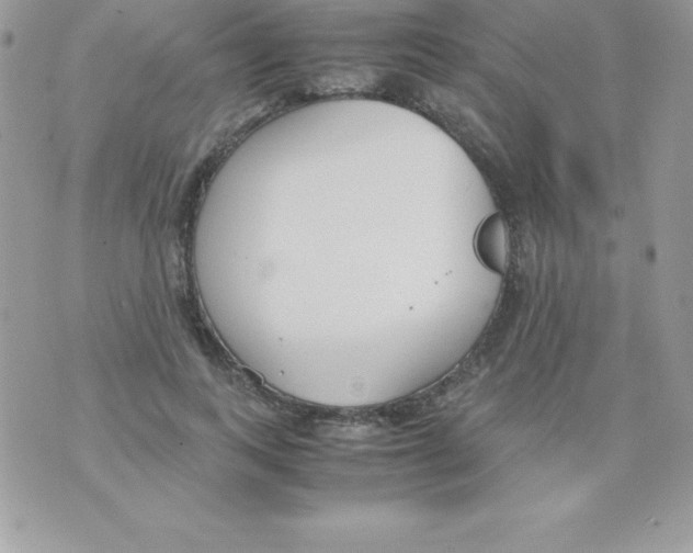 X0000070830743200607142340