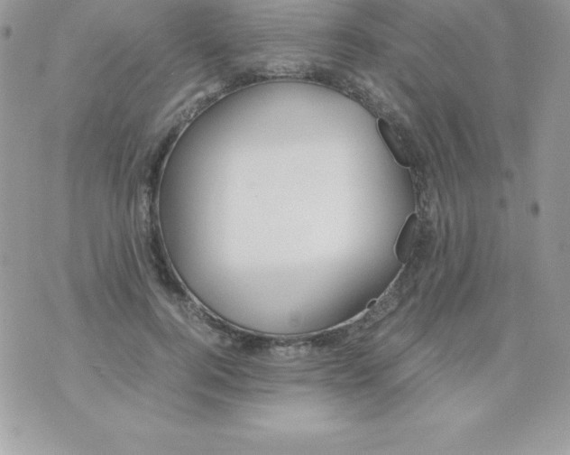 X0000070830744200607142340