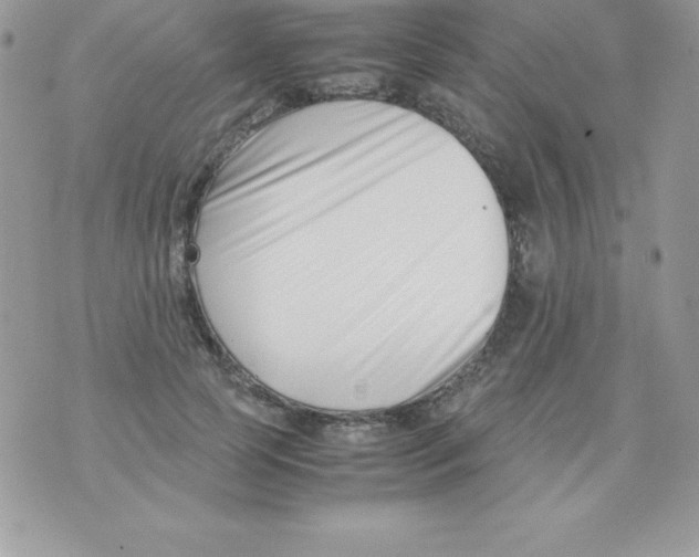 X0000070830745200607142340