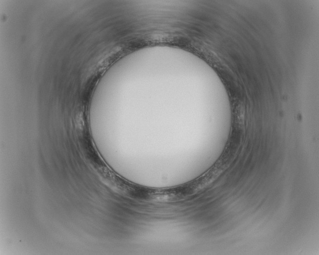 X0000070830746200607142340