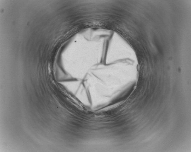 X0000070830747200607142340