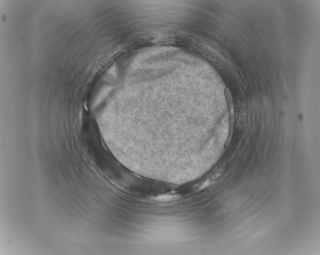 X0000070830748200607142340