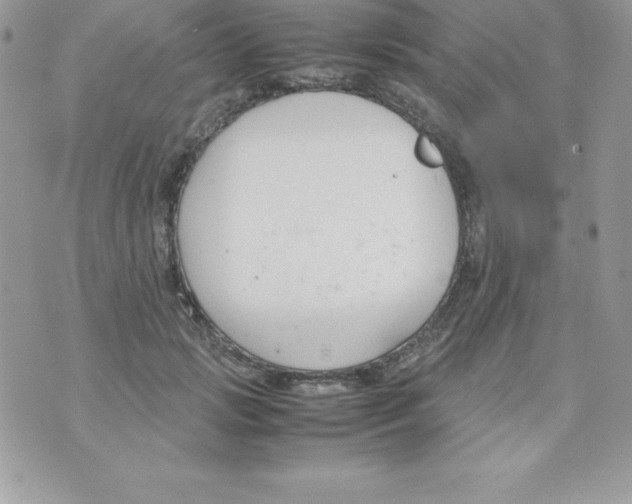 X0000070830749200607142340