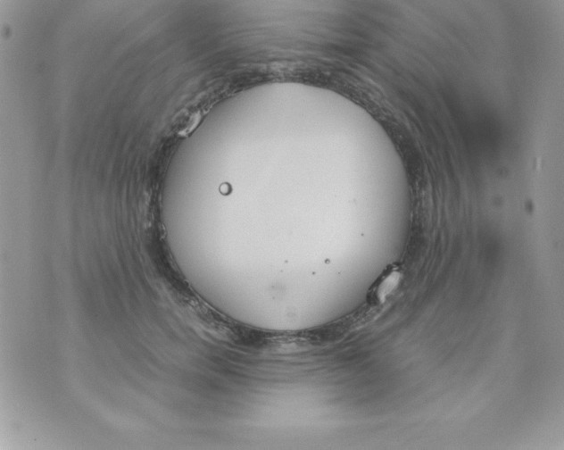 X0000070830750200607142340