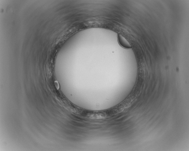 X0000070830751200607142340