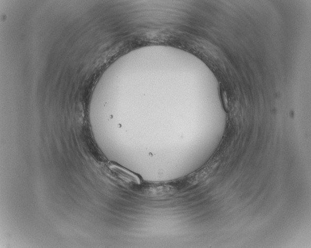 X0000070830752200607142340