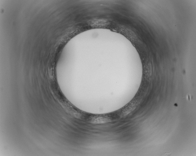 X0000070830755200607142340