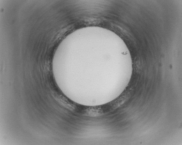 X0000070830756200607142340