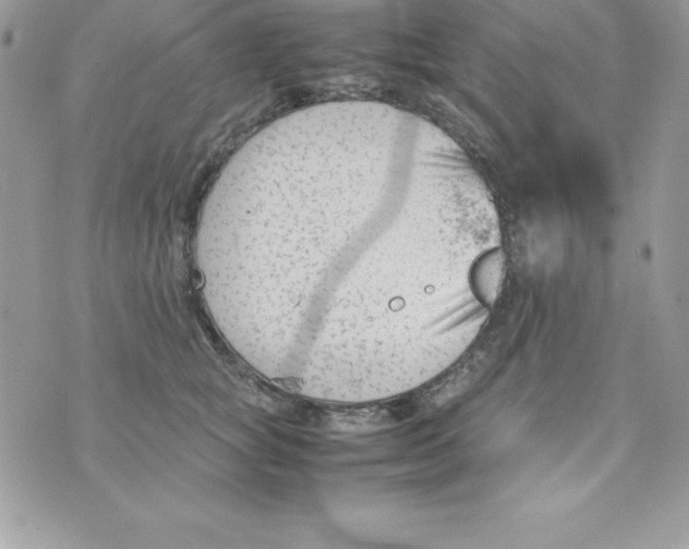 X0000070830757200607142340