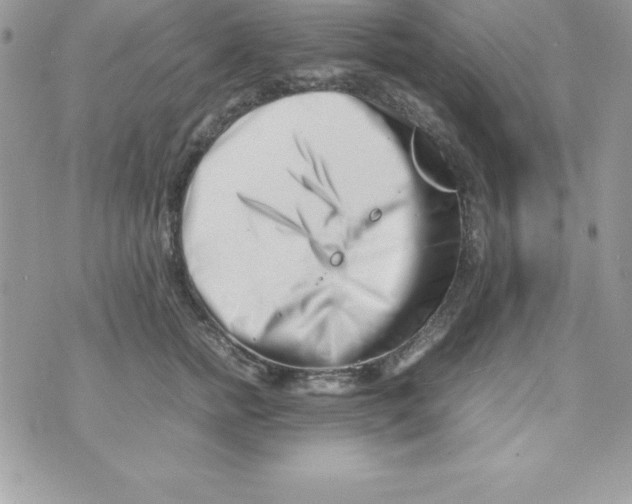 X0000070830758200607142340