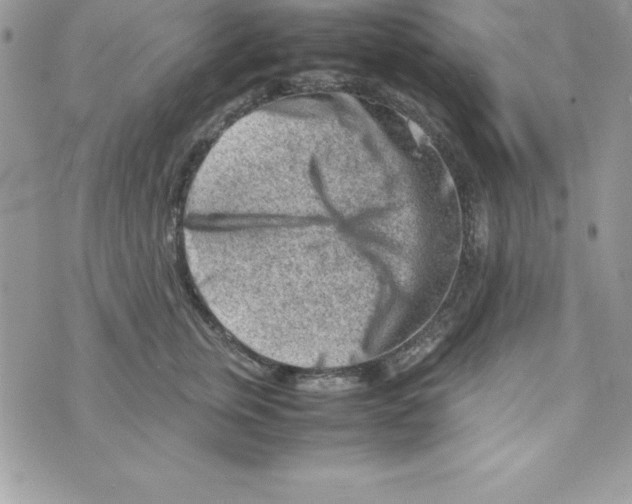 X0000070830759200607142340