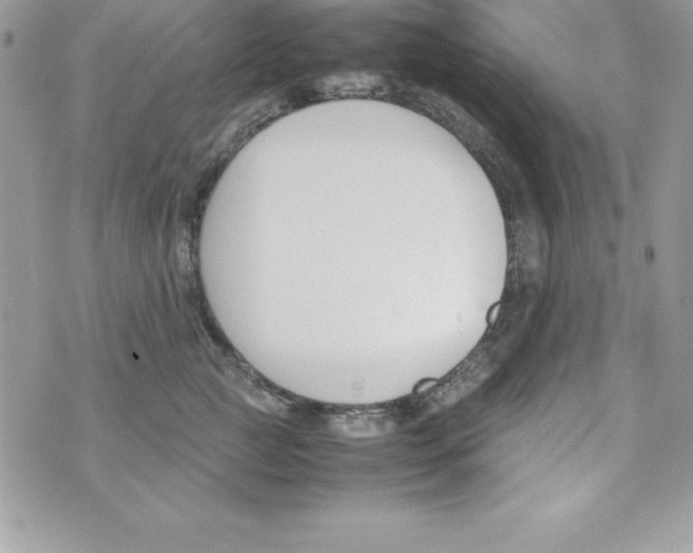 X0000070830761200607142340