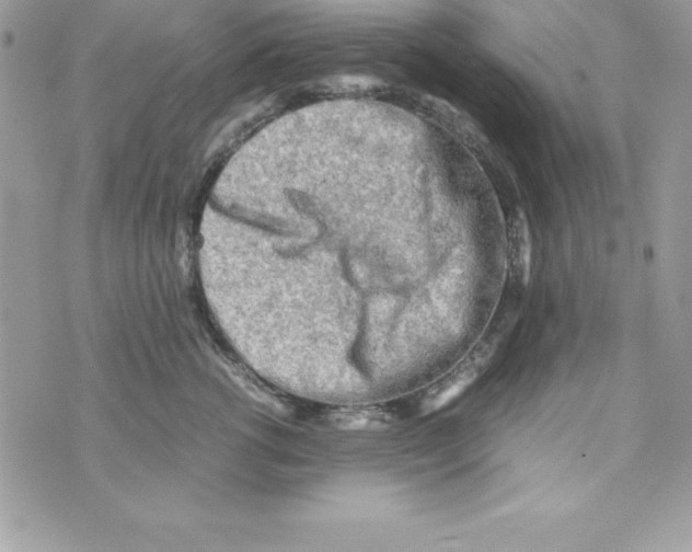 X0000070830762200607142340