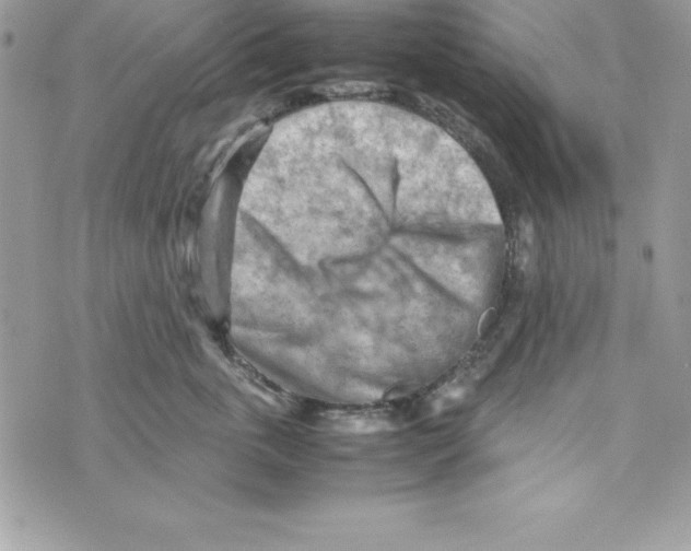 X0000070830763200607142340