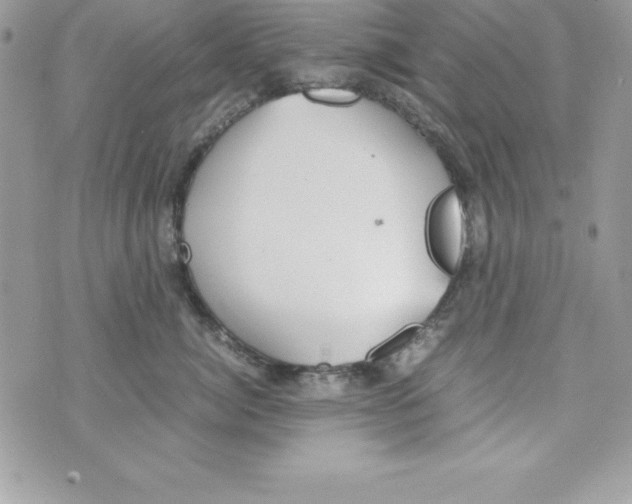 X0000070830764200607142341