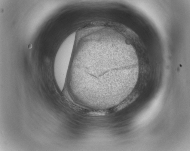 X0000070830765200607142341