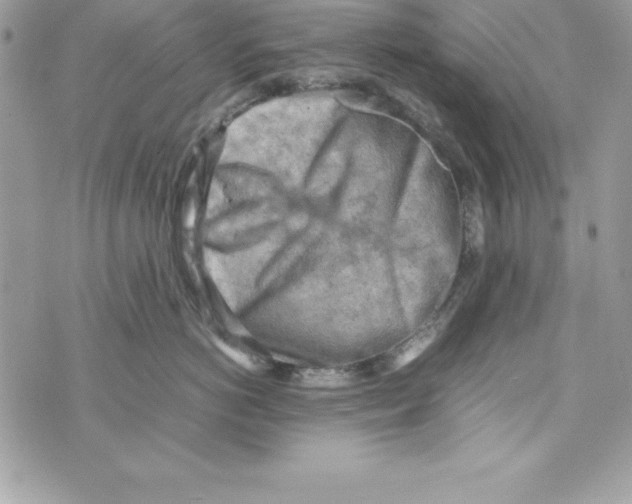 X0000070830766200607142341