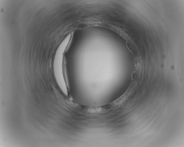 X0000070830767200607142341