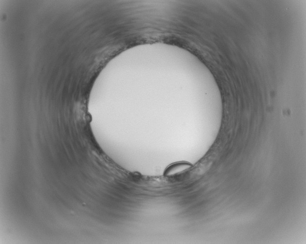 X0000070830768200607142341