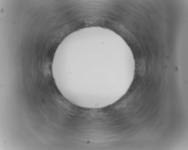 X0000070830770200607142340