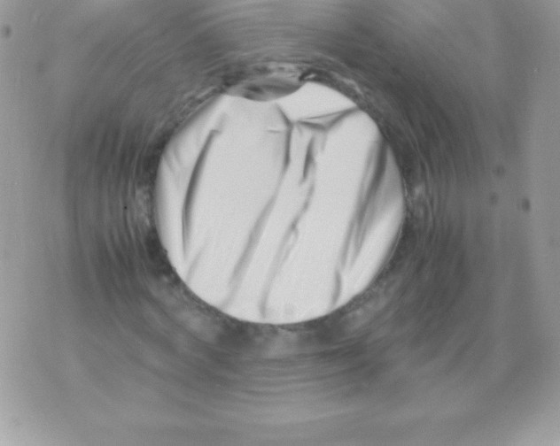 X0000070830772200607142340