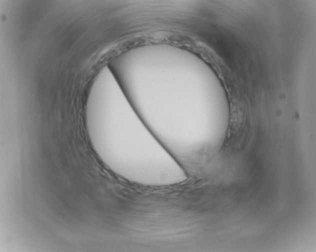 X0000070830773200607142340