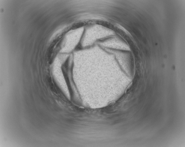 X0000070830775200607142340