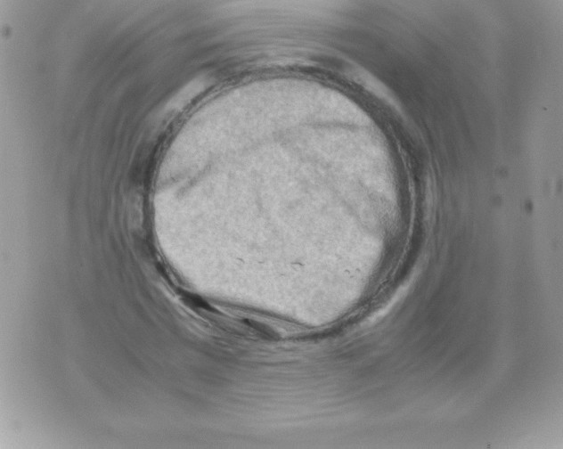 X0000070830777200607142340