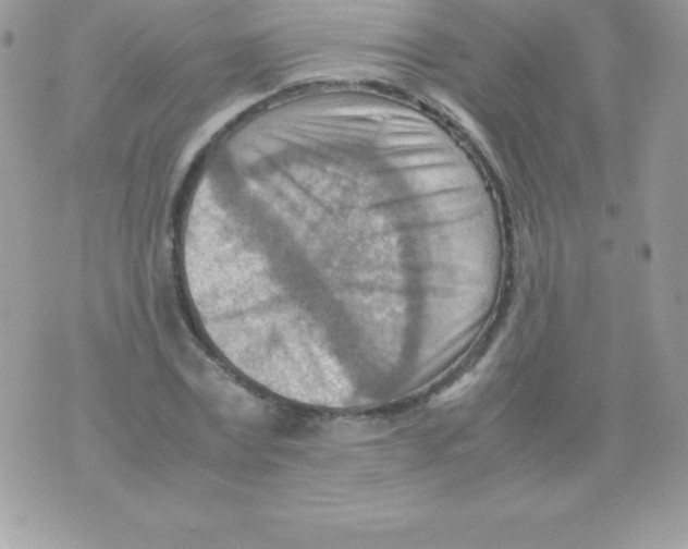 X0000070830779200607142340