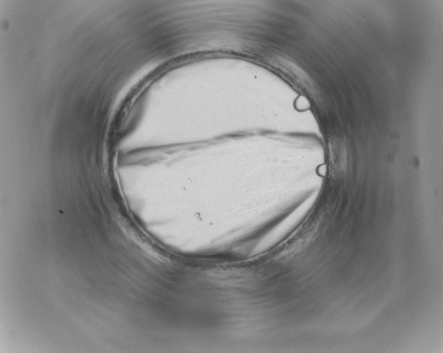 X0000070830780200607142340