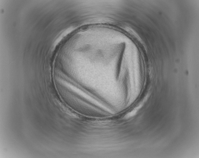 X0000070830781200607142340