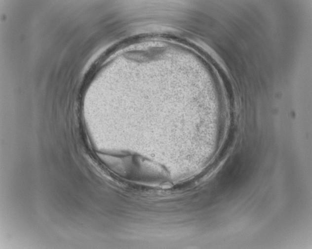 X0000070830783200607142340