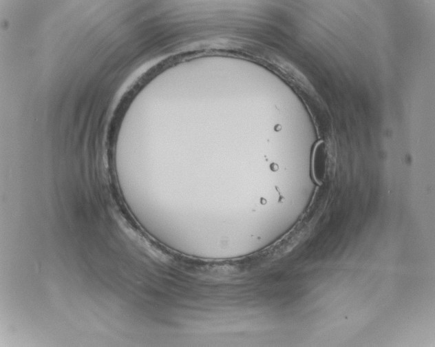 X0000070830784200607142340