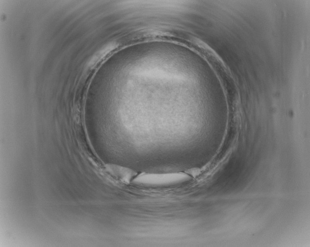 X0000070830785200607142340