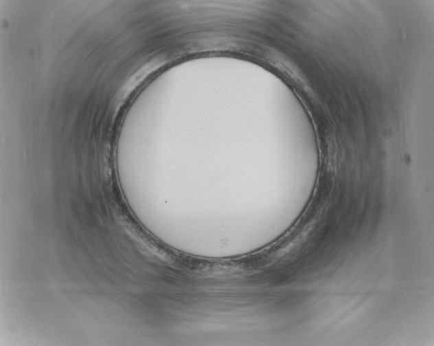 X0000070830786200607142340