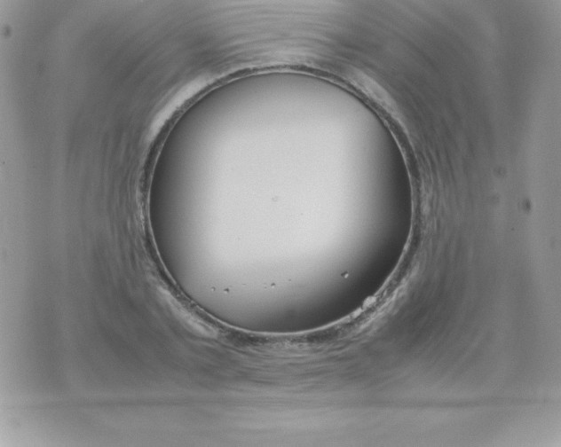 X0000070830789200607142339