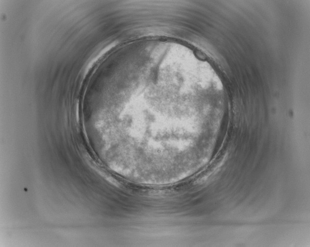 X0000070830790200607142339