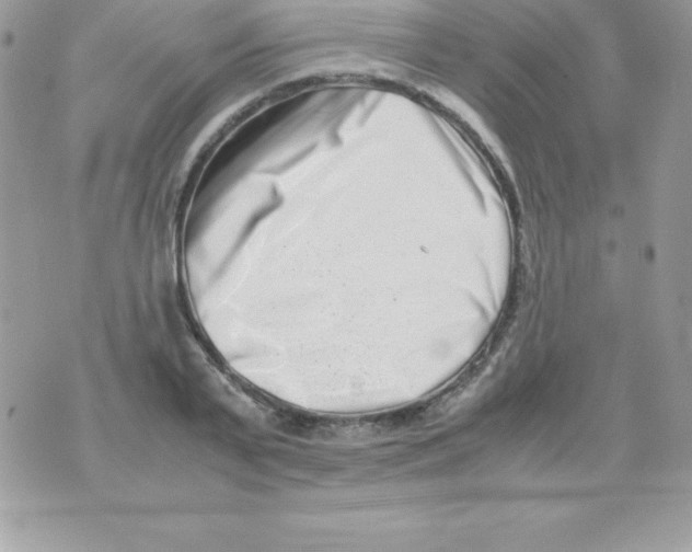 X0000070830791200607142339