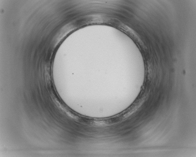 X0000070830794200607142339