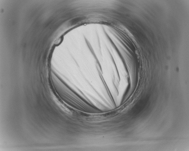 X0000070830795200607142339